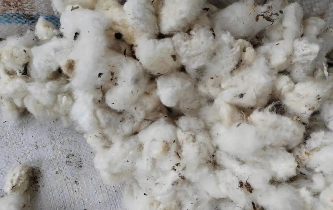 微信公众号图片